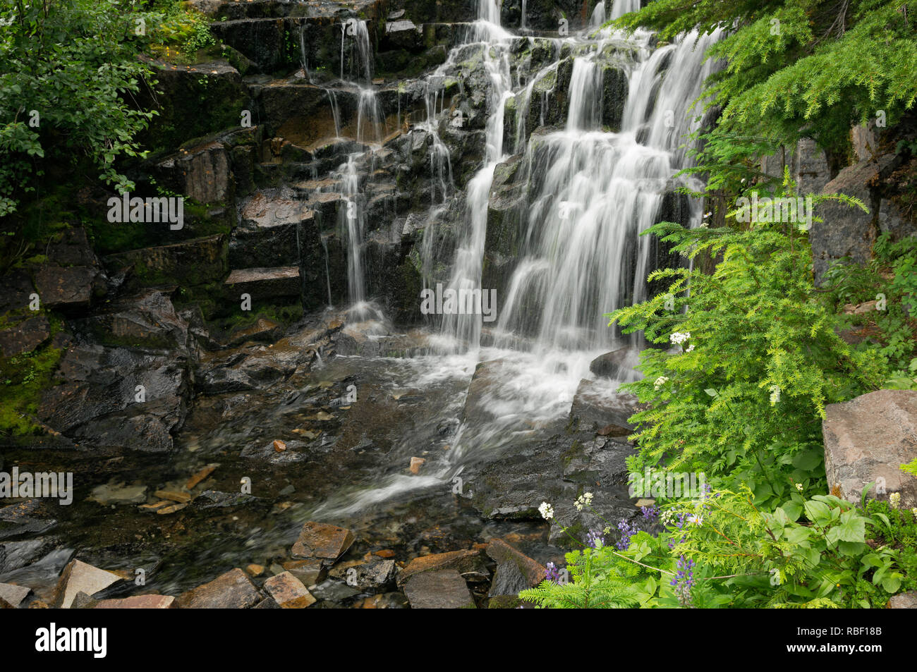 WA15710-00...WASHINGTON - Medio Sunbeam Falls si trova sul Stevens Canyon Road in Mount Rainier National Park. Foto Stock