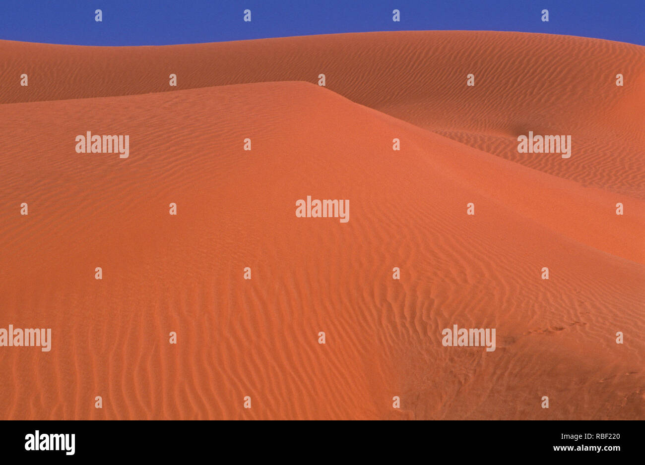 E Simpson Desert è una grande area di secco, pianura sabbiosa rossa e dune nel Territorio del Nord, l'Australia Meridionale e di Queensland in Australia centrale Foto Stock