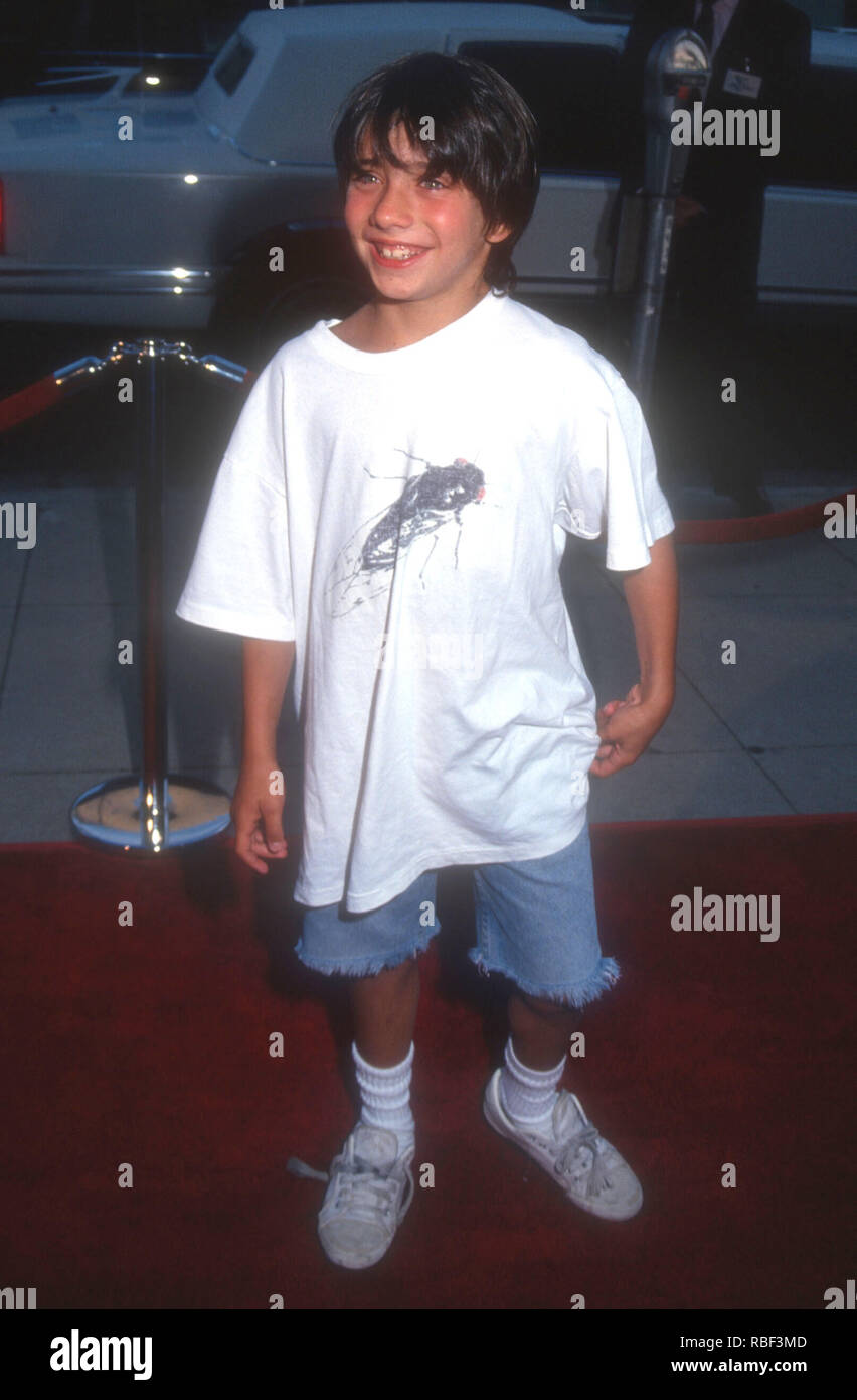 BEVERLY HILLS, CA - 10 agosto: attore Max Pomeranc assiste la Paramount Pictures' 'Ricerca per Bobby Fischer" Premiere il 10 agosto 1993 presso l'Accademia Teatro di Beverly Hills, la California. Foto di Barry re/Alamy Stock Photo Foto Stock