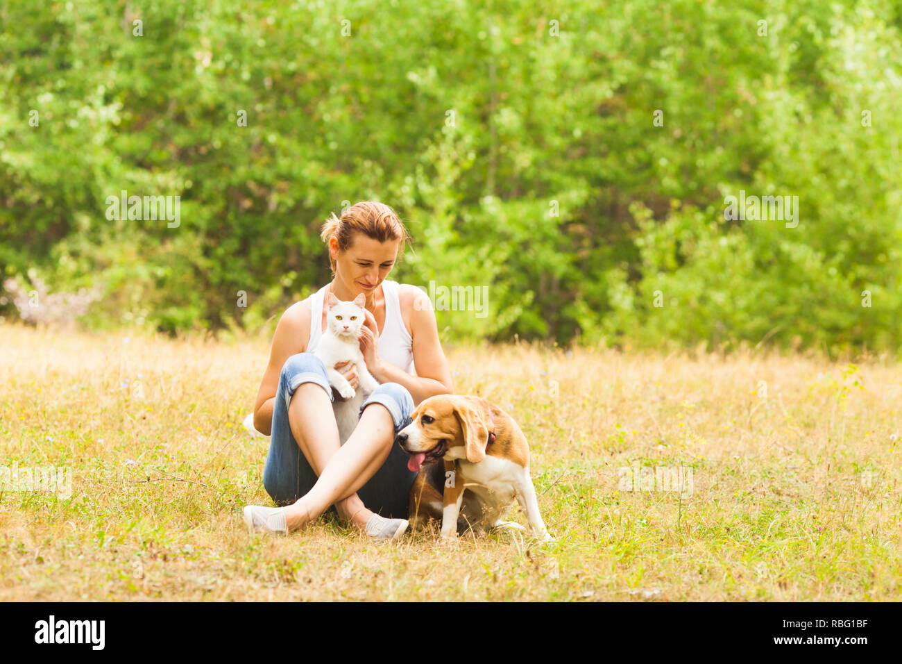 Giovane bella donna seduta su un terreno in prato estivo azienda bianchi e soffici cat sulle ginocchia con cute cane beagle in piedi vicino, verde foresta su una Foto Stock
