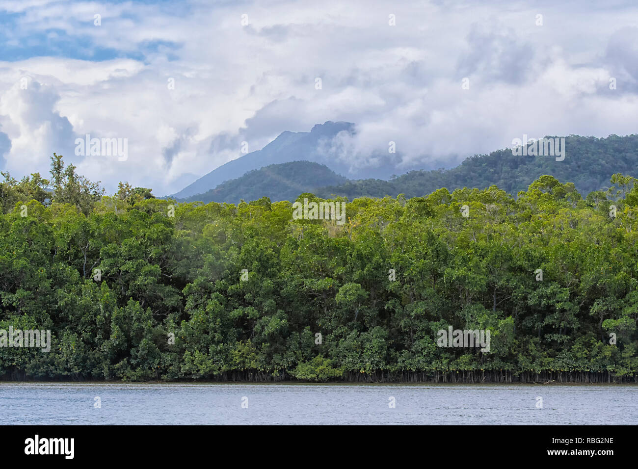 Vista panoramica del sito Patrimonio dell'umanità Parco Nazionale Daintree con basse nuvole sopra la foresta pluviale tropicale, Wet Tropics, estremo Nord Queensland, FNQ, QLD, un Foto Stock