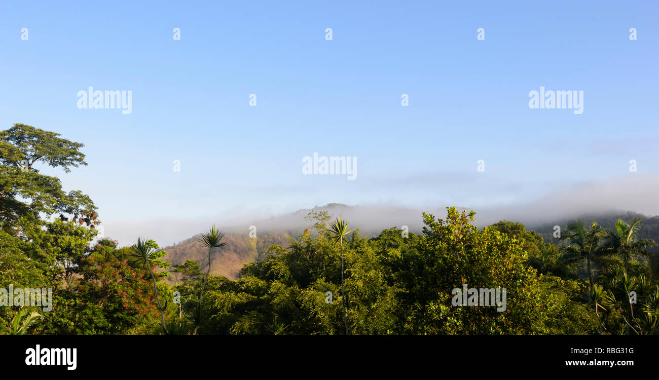 Suggestivo panorama del sito Patrimonio dell'umanità Parco Nazionale Daintree con basse nuvole sopra la foresta pluviale tropicale, Wet Tropics, estremo Nord Queensland, FNQ, QL Foto Stock