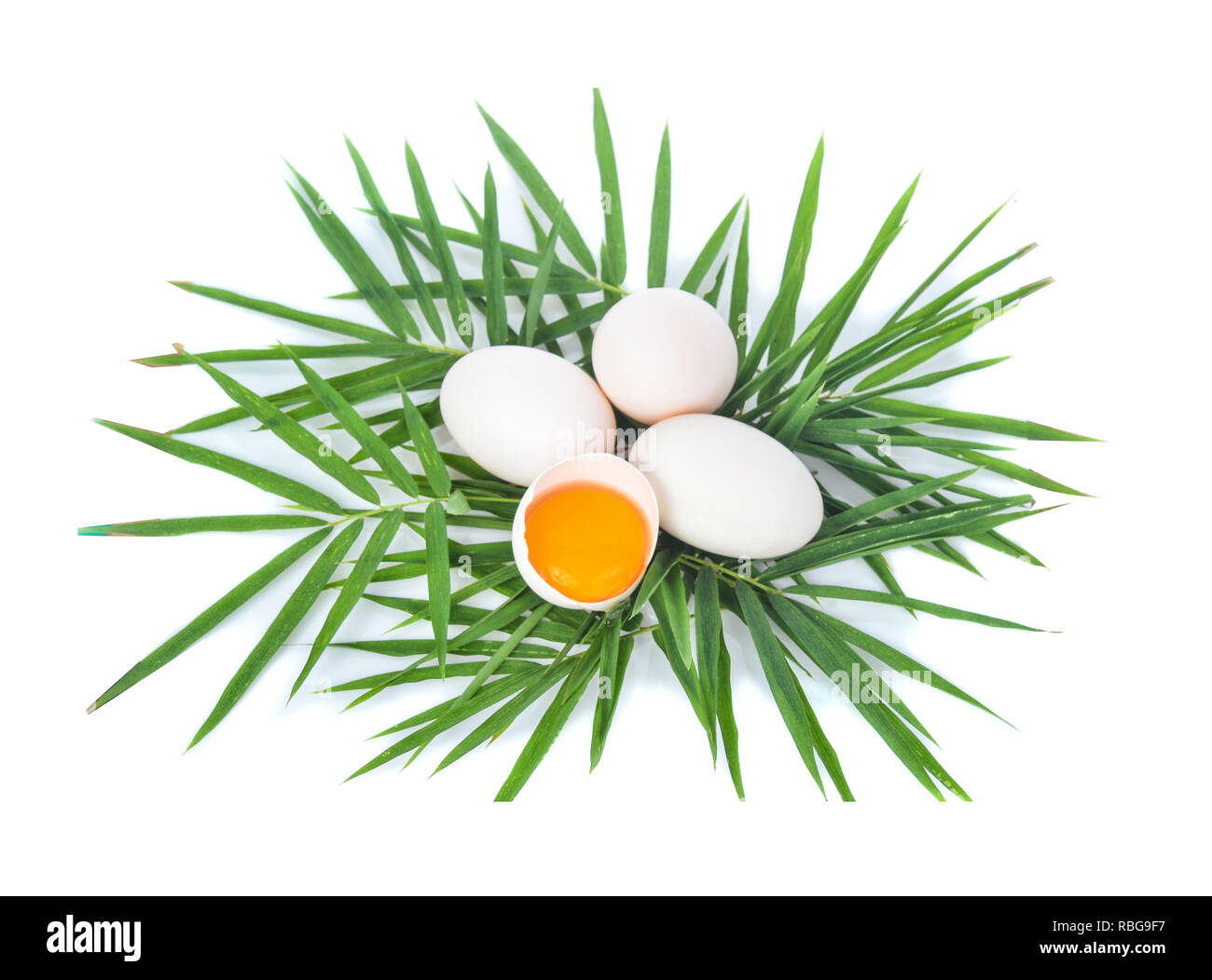 Vista dall'alto di uova di anatra con foglie di bambù in backgroud bianco Foto Stock