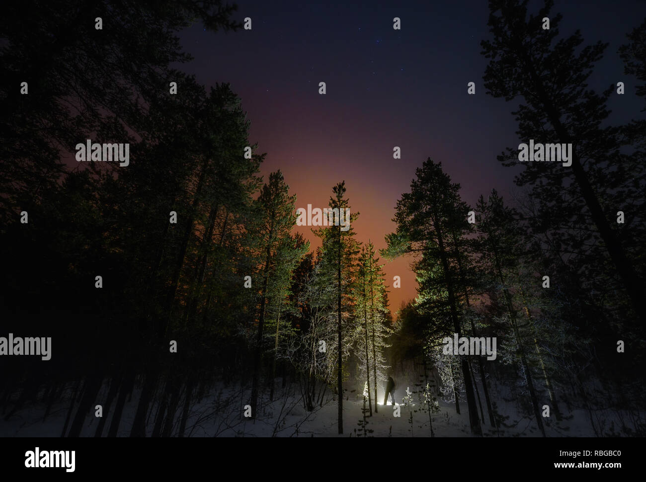 inverno notte foresta e stella uomo luce cielo stellato Foto Stock