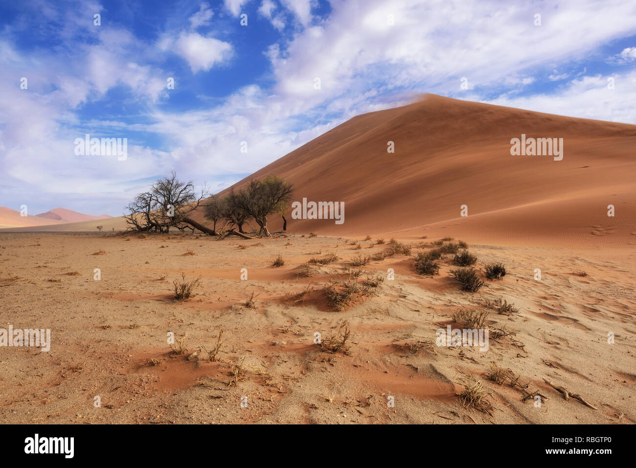 Sossusvlei salina con alte dune di sabbia rossa nel deserto del Namib, Namibia, Africa. Foto Stock