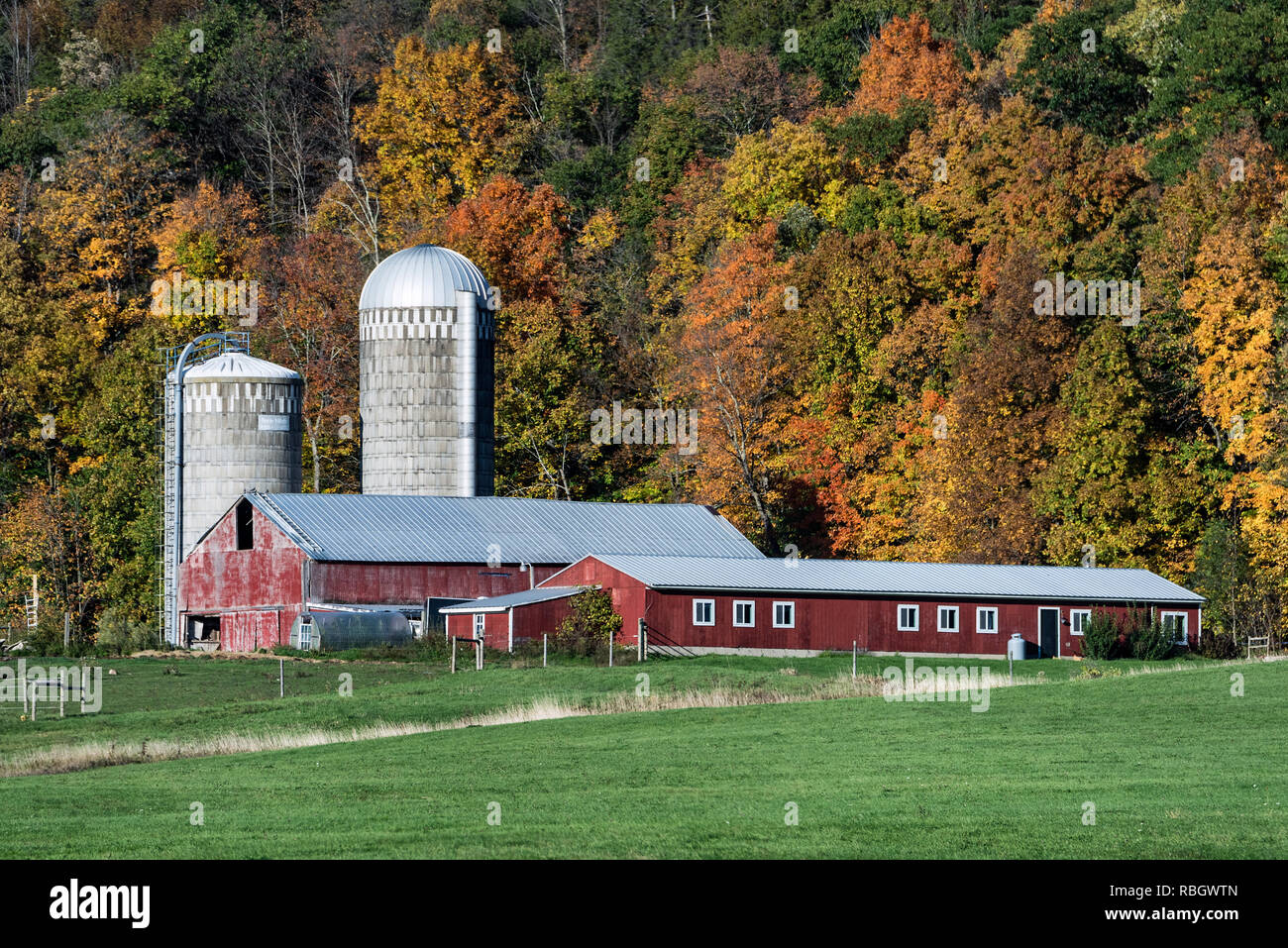 Incantevole autunno farm, Middlebury, Vermont, USA. Foto Stock