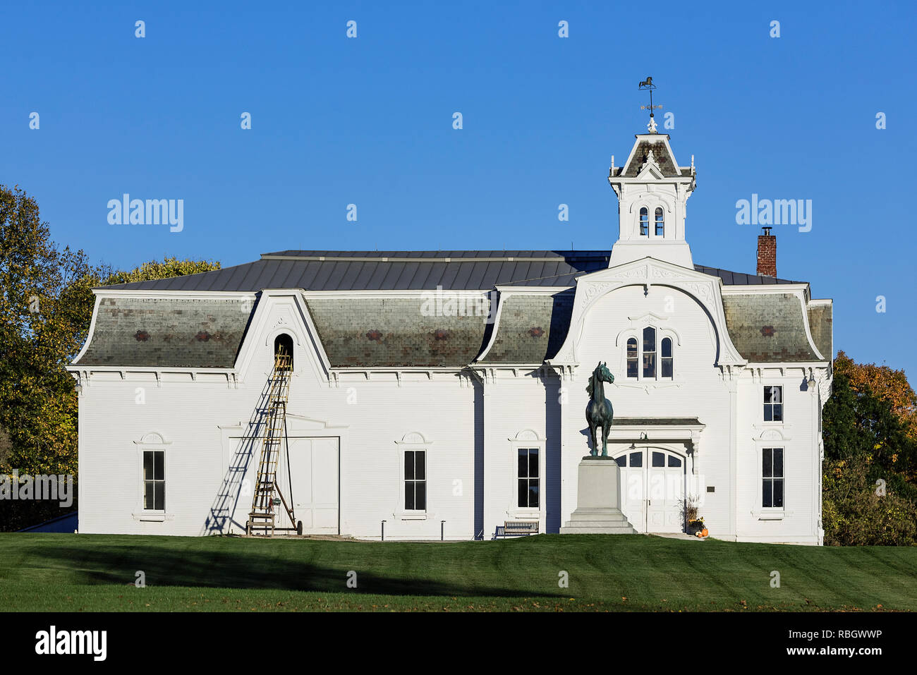 Morgan Horse Farm, Middlebury, Vermont, USA. Foto Stock