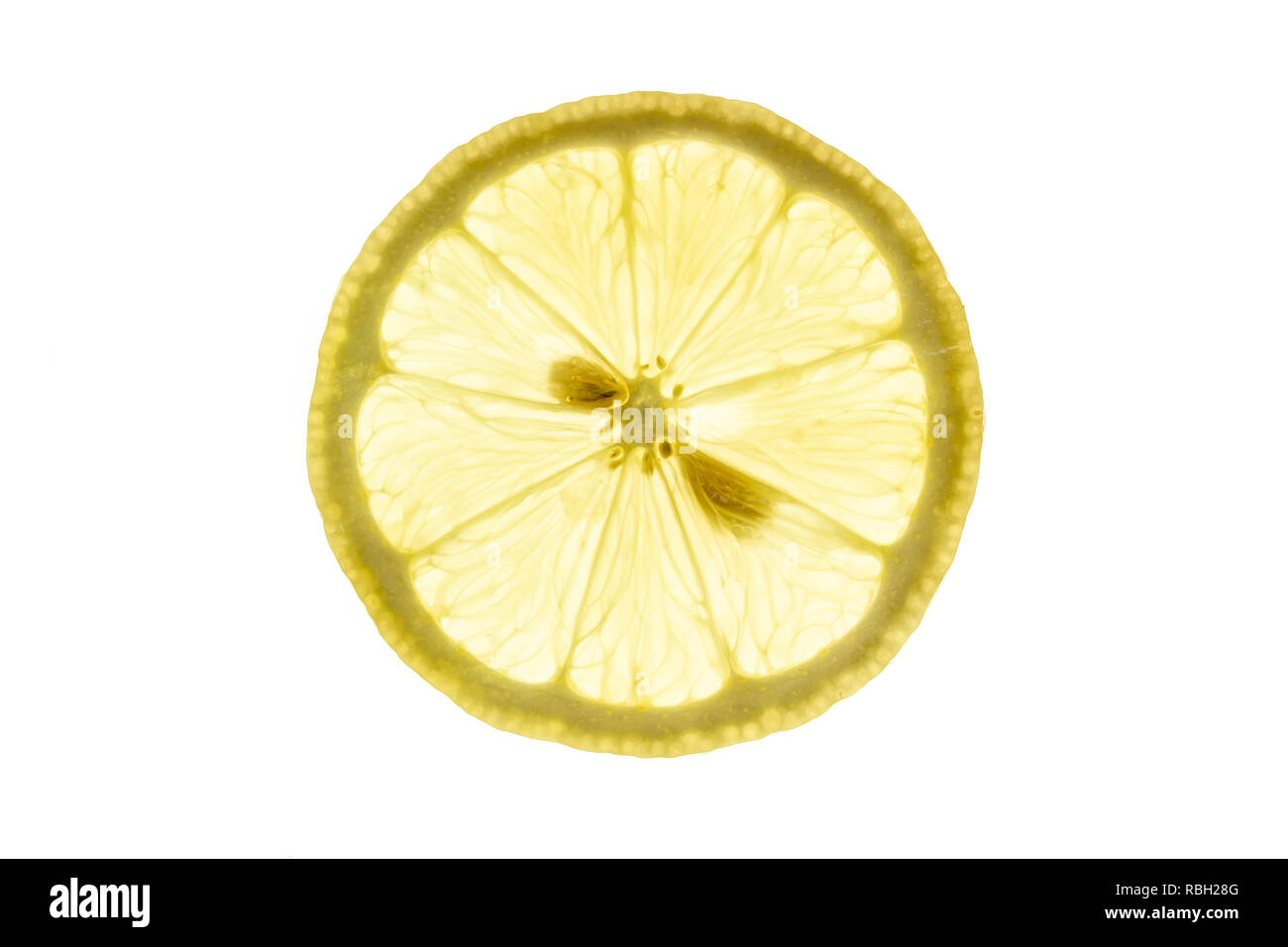 Fettina di limone close-up backlit su sfondo bianco Foto Stock