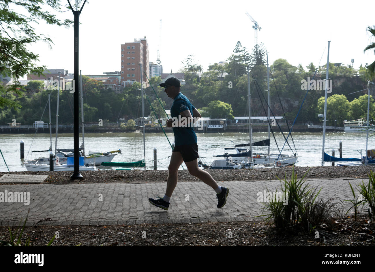 Un uomo che corre in città Giardini Botanici di Brisbane, Queensland, Australia Foto Stock