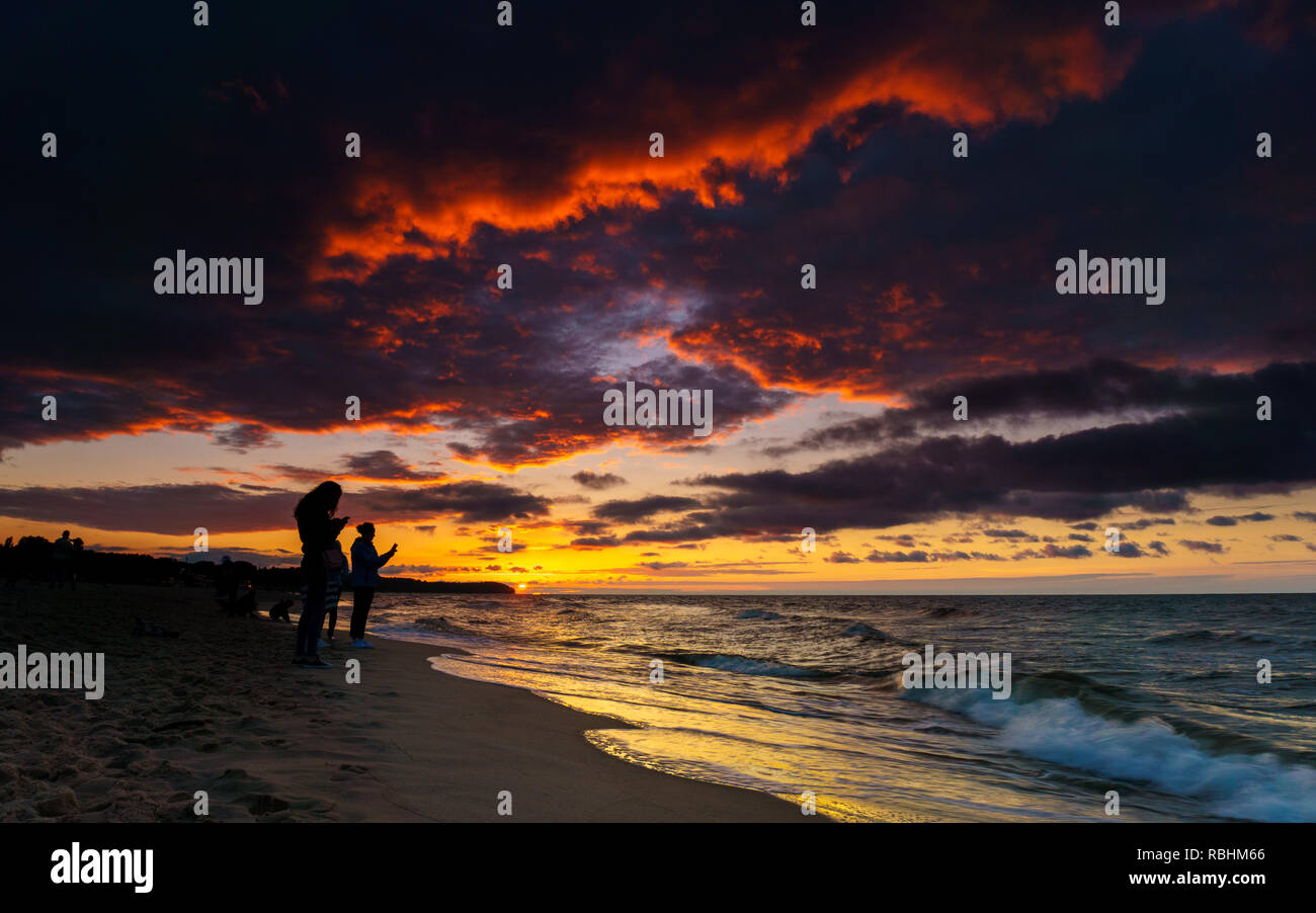 Silhouette di persone che guardano smartphone sul tramonto sulla spiaggia Foto Stock