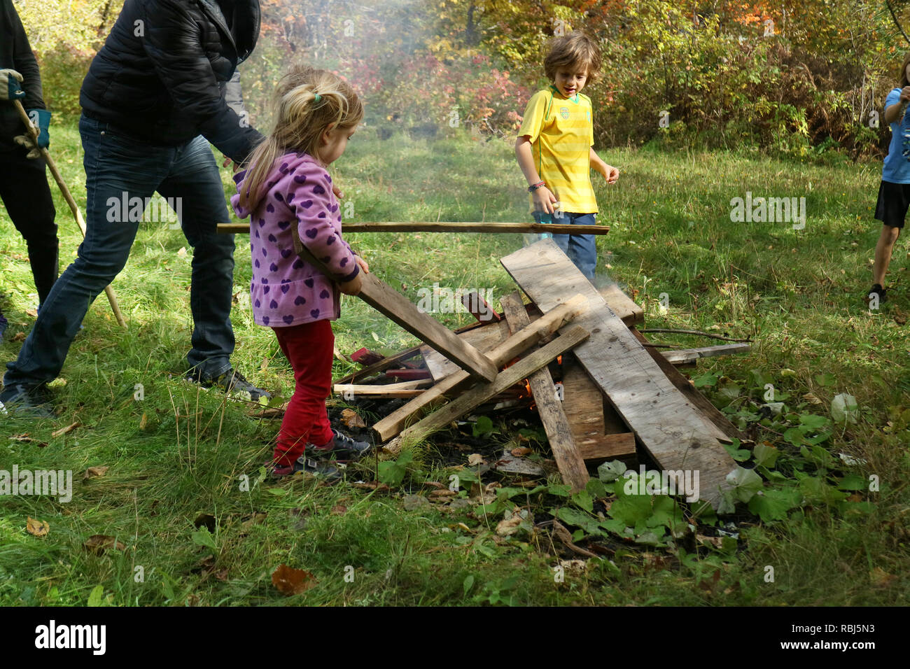 Una bambina di 4 anni) mettendo il legno su un falò Foto Stock