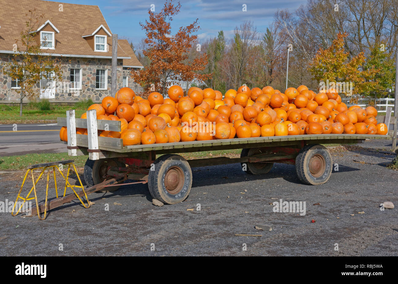 Un rimorchio pieno di zucche in Quebec Foto Stock