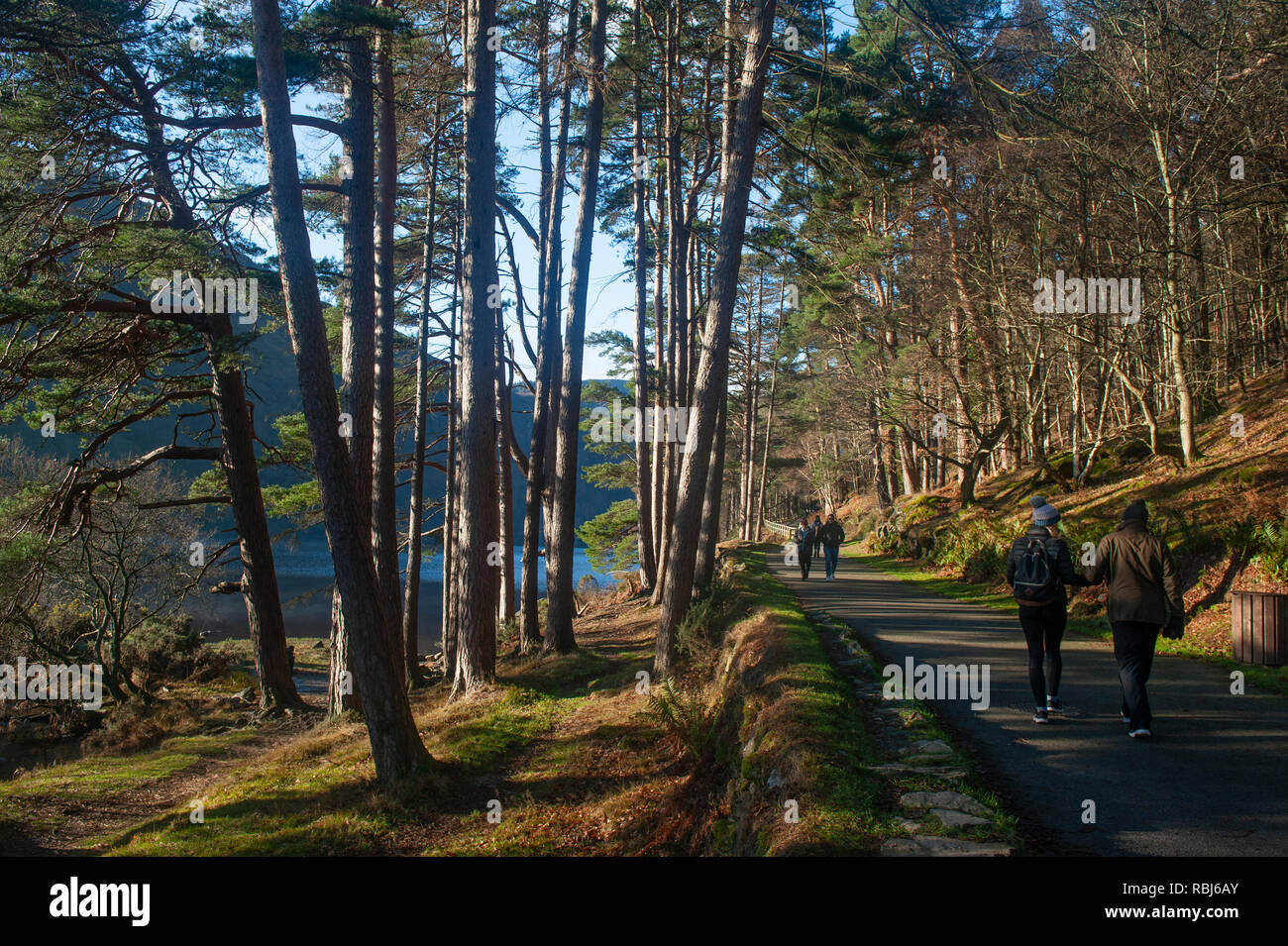 Percorso a piedi accanto a Glendalough, County Wicklow, Repubblica di Irlanda Foto Stock
