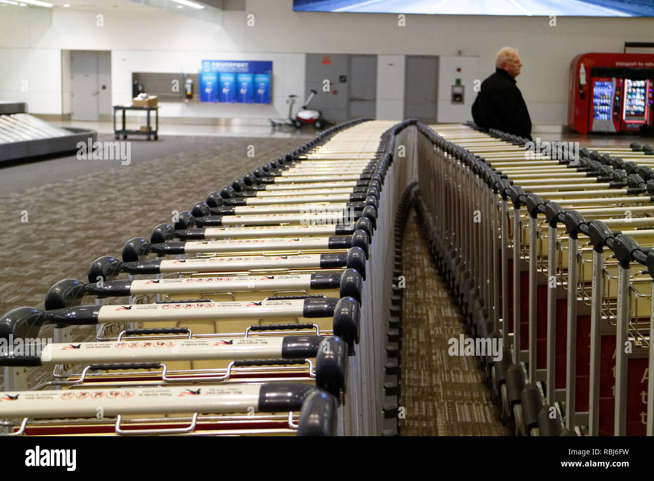 Persone in piedi da filari di carrelli portabagagli in Toronto Pearson airport in attesa per i loro bagagli per arrivare. Foto Stock