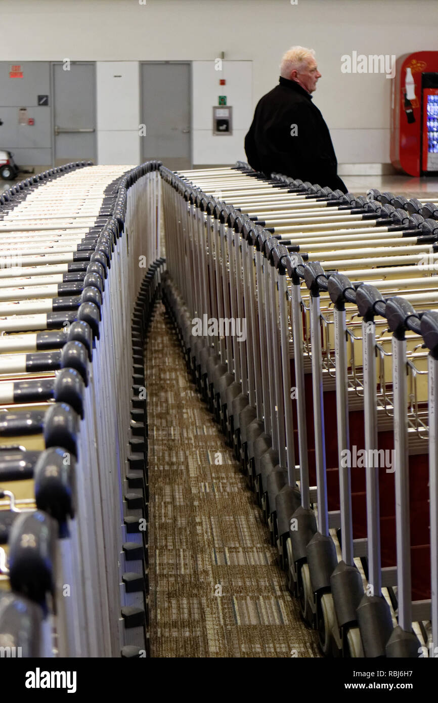 Persone in piedi da filari di carrelli portabagagli in Toronto Pearson airport in attesa per i loro bagagli per arrivare. Foto Stock