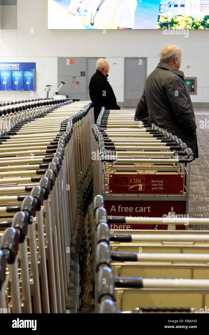 Persone in piedi da filari di carrelli portabagagli in Toronto Pearson airport in attesa per i loro bagagli per arrivare. Foto Stock