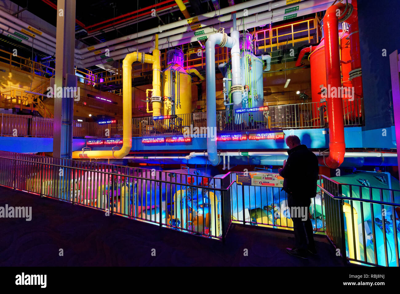 Pompe e attrezzature di filtraggio per i serbatoi all'interno di Ripley's acquario di Canada, Toronto, Ontario Foto Stock