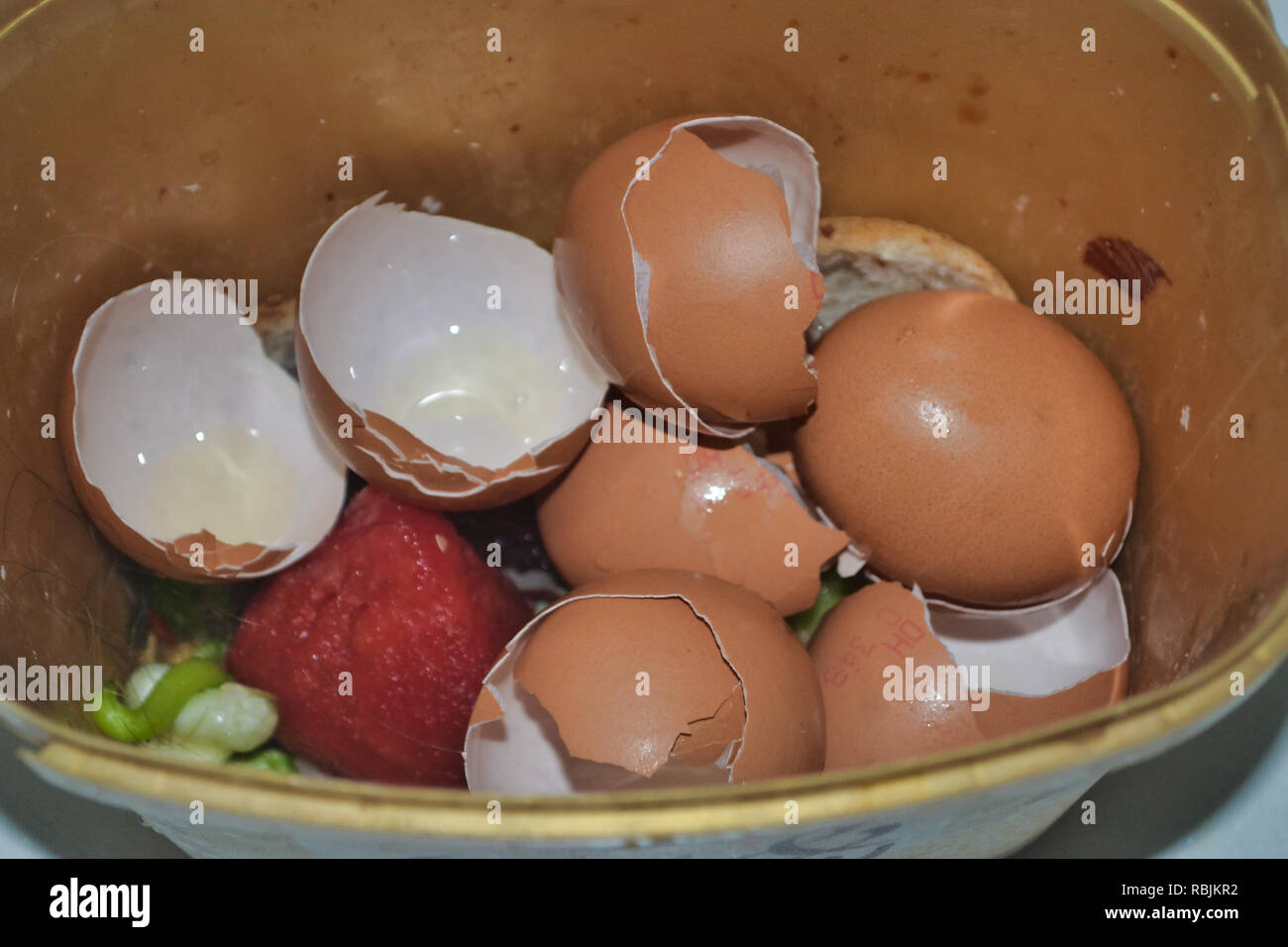 Gusci delle uova e altri residui di alimenti in compost Bin Foto Stock