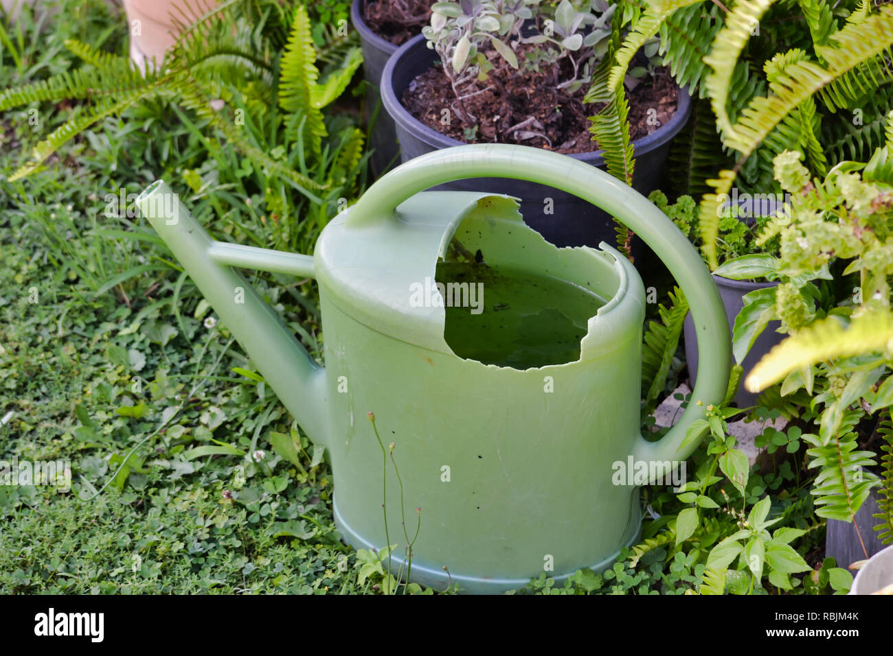 Danneggiato Annaffiatoio in plastica in giardino Foto Stock