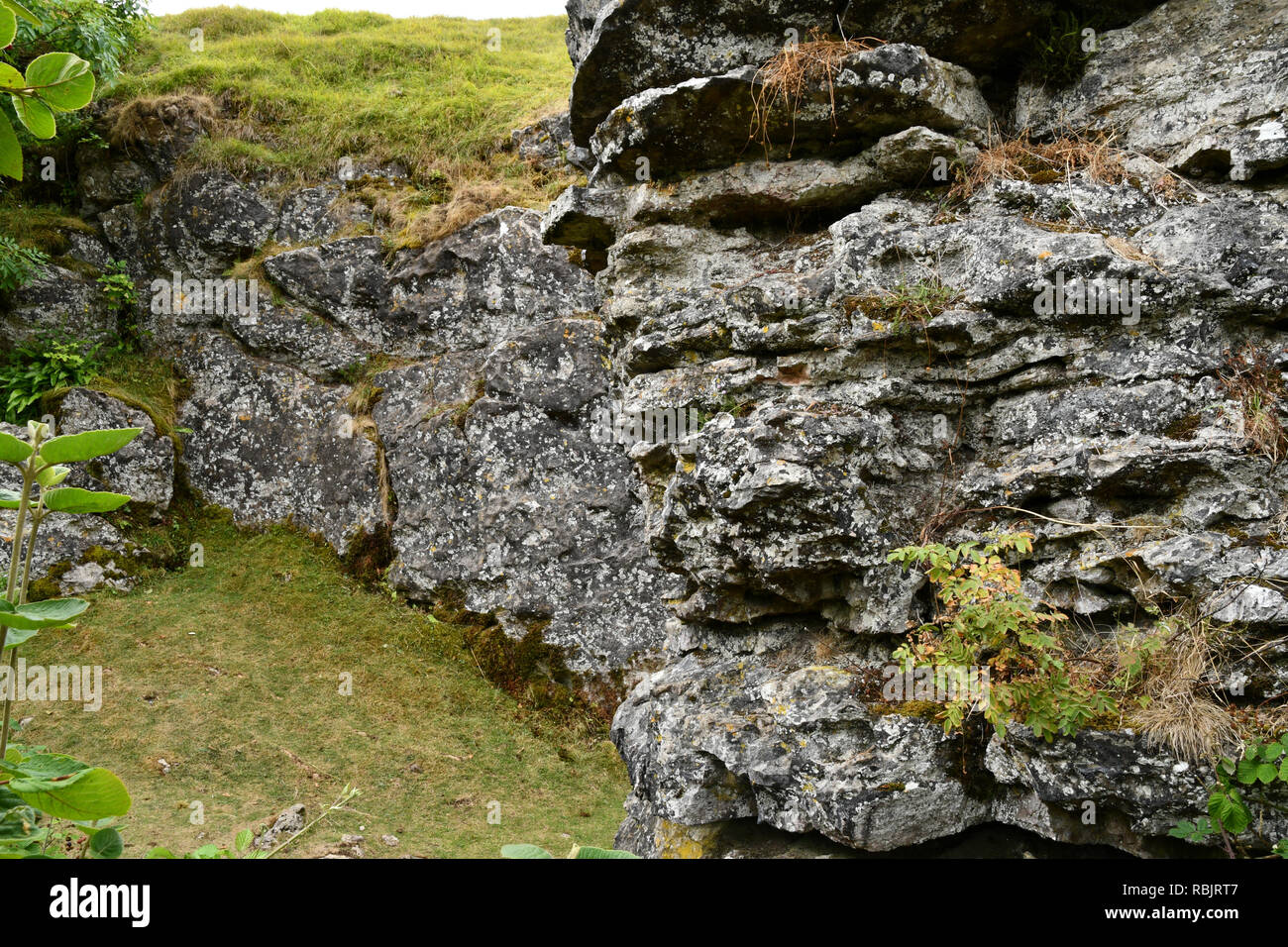 Ubley Warren su Mendip Hills nel Somerset, qui illustrati sono elaborate le vene di minerali o "rastrelli.Questi sono tra i miei irregolare funzionamento Foto Stock