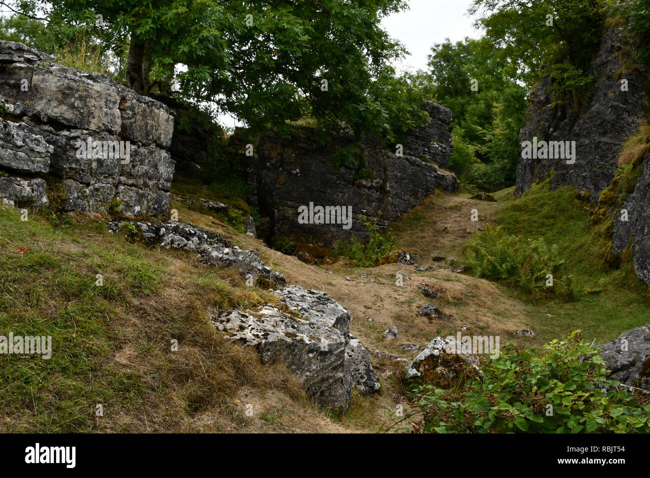 Ubley Warren su Mendip Hills nel Somerset, qui illustrati sono elaborate le vene di minerali o "rastrelli.Questi sono tra i miei irregolare funzionamento Foto Stock