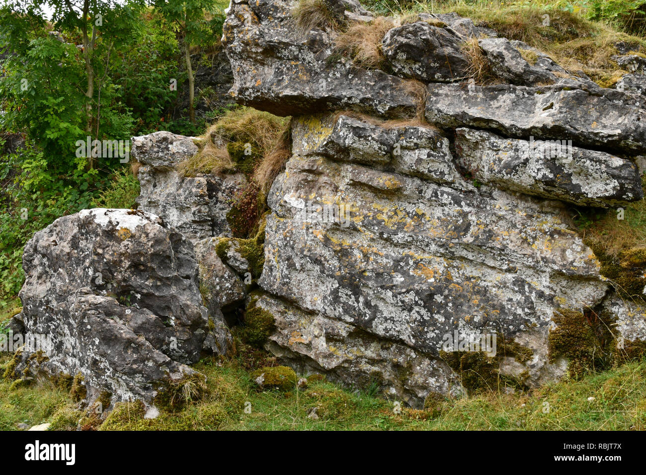 Ubley Warren su Mendip Hills nel Somerset, qui illustrati sono elaborate le vene di minerali o "rastrelli.Questi sono tra i miei irregolare funzionamento Foto Stock