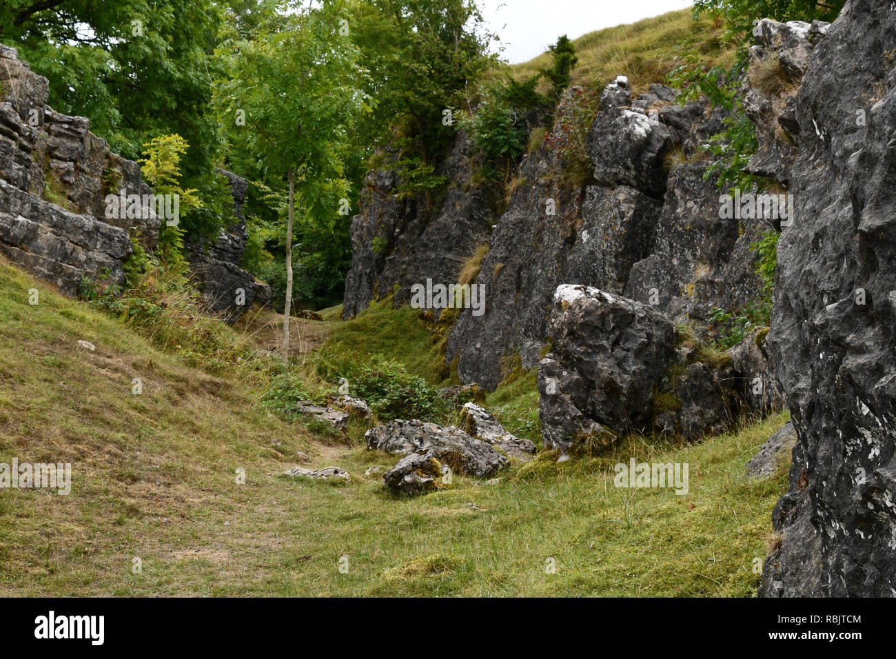 Ubley Warren su Mendip Hills nel Somerset, qui illustrati sono elaborate le vene di minerali o "rastrelli.Questi sono tra i miei irregolare funzionamento Foto Stock