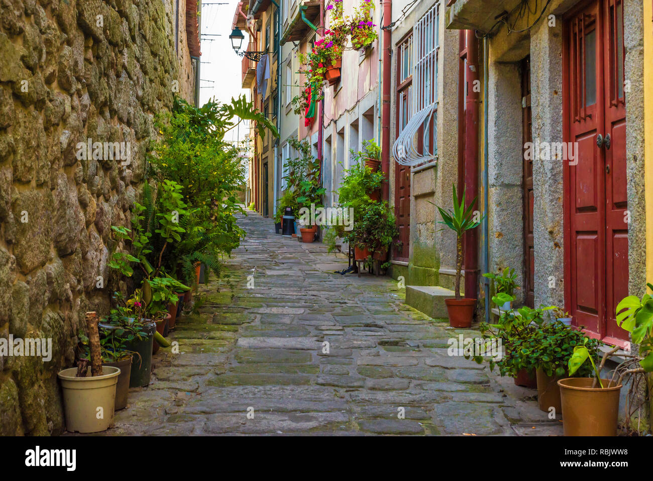 Vecchia strada accogliente con edifici storici nella bellissima città di Porto, Portogallo con nessuno Foto Stock
