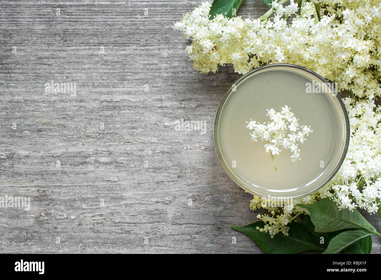Fiori di sambuco bere bianco su sfondo di legno. sano drink a base di erbe. vista superiore con spazio di copia Foto Stock