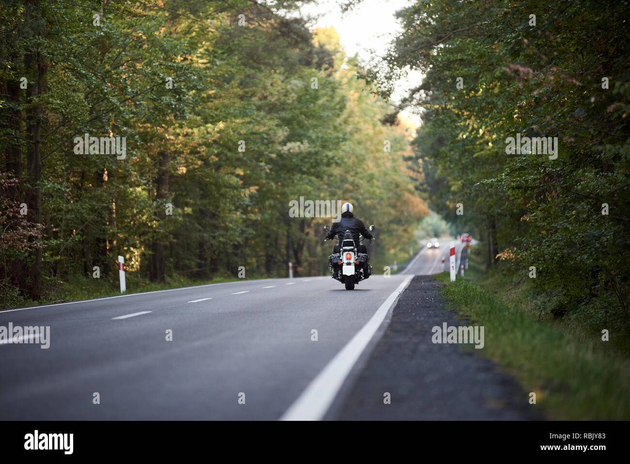 Vista posteriore del motociclista in nero giacca di pelle e casco bianco in sella cruiser moto lungo la strada collinare tra alti alberi verdi. Uno stile di vita attivo, l'amore per le avventure del concetto. Foto Stock