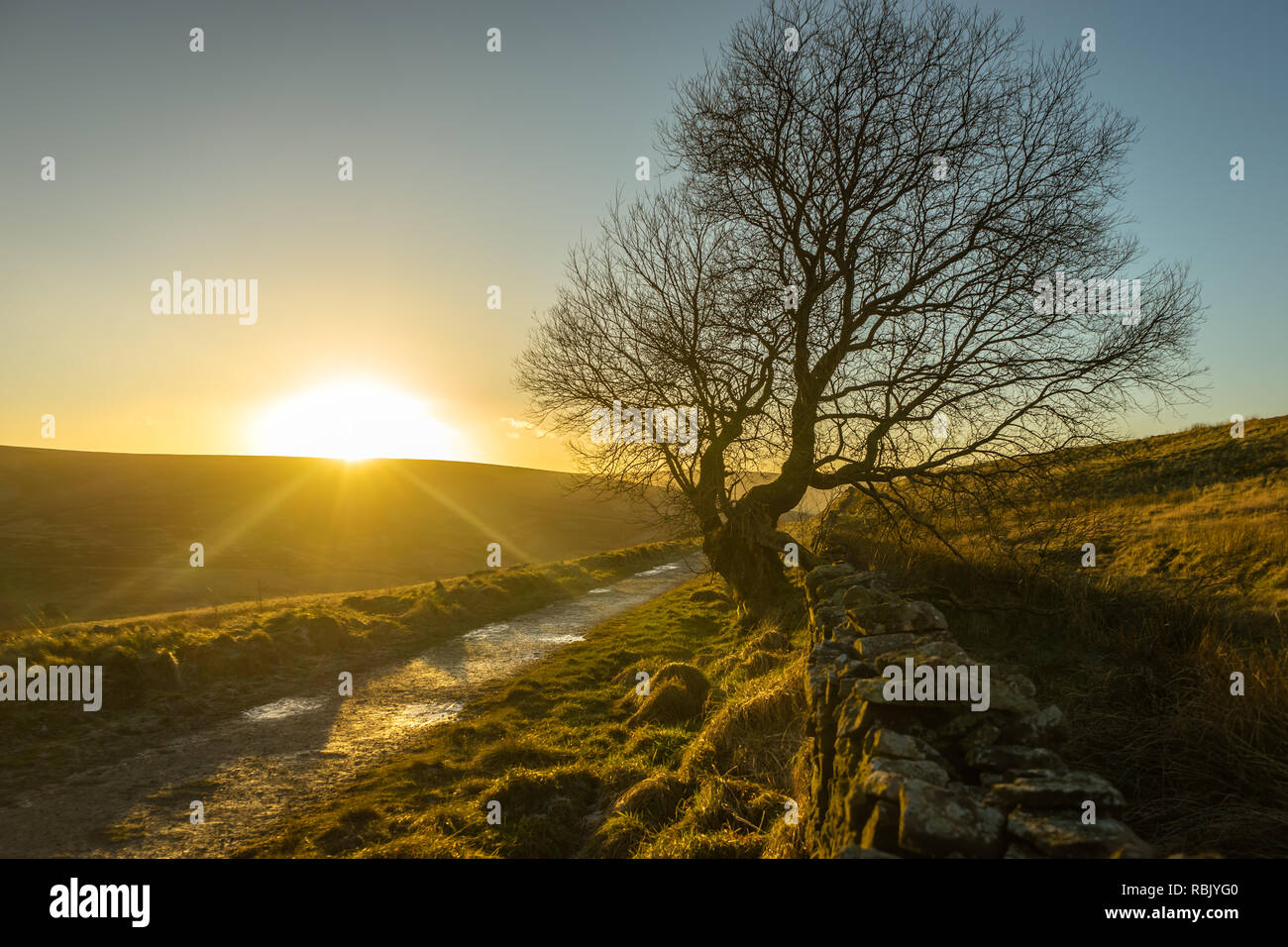 Viale alberato percorso sopra il Goyt Valley, con il sole che tramonta dietro le colline in background Foto Stock