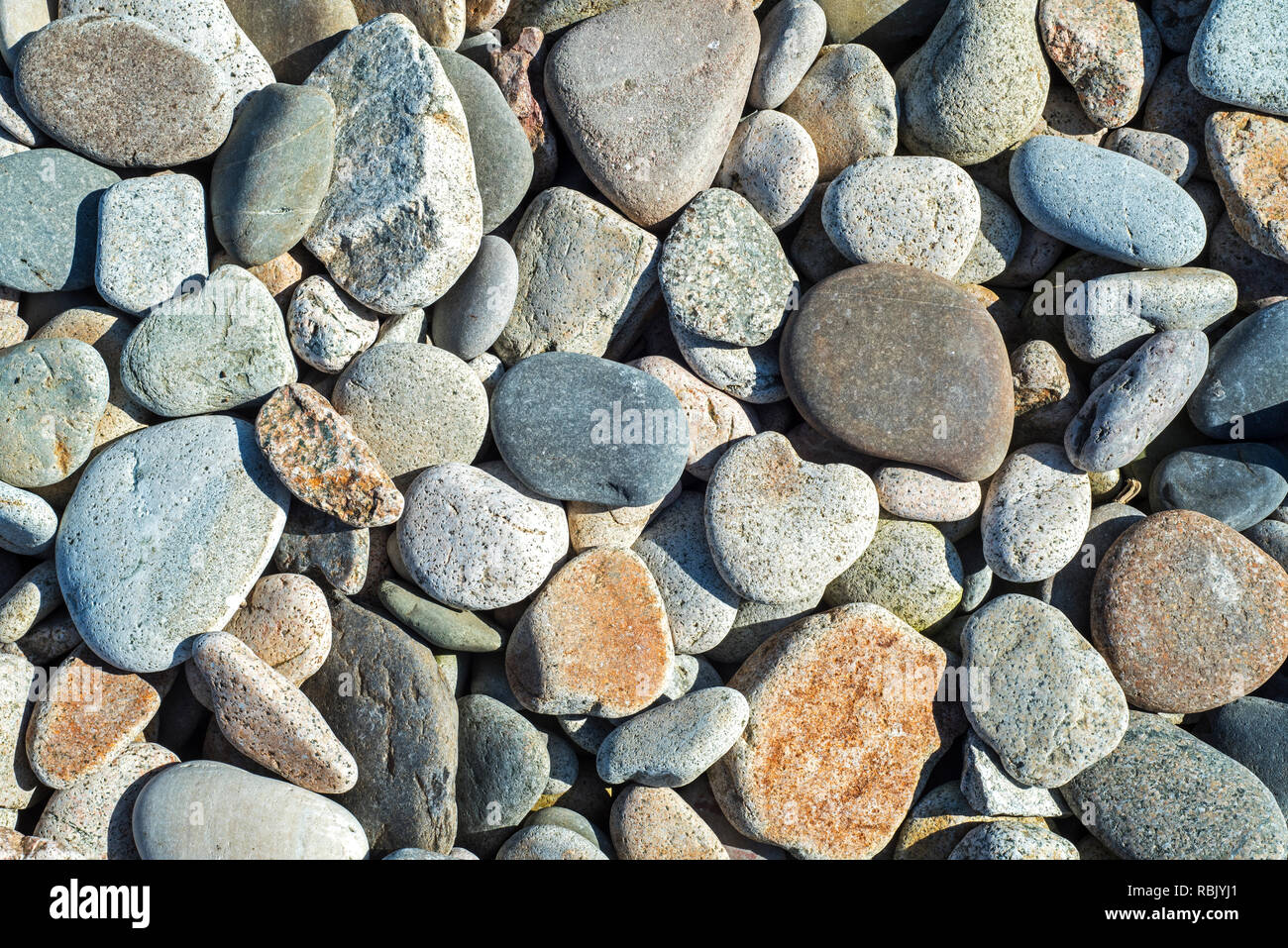 Ciottoli su una spiaggia di ciottoli / spiaggia rocciosa / Pebble Beach in Normandia, Francia Foto Stock