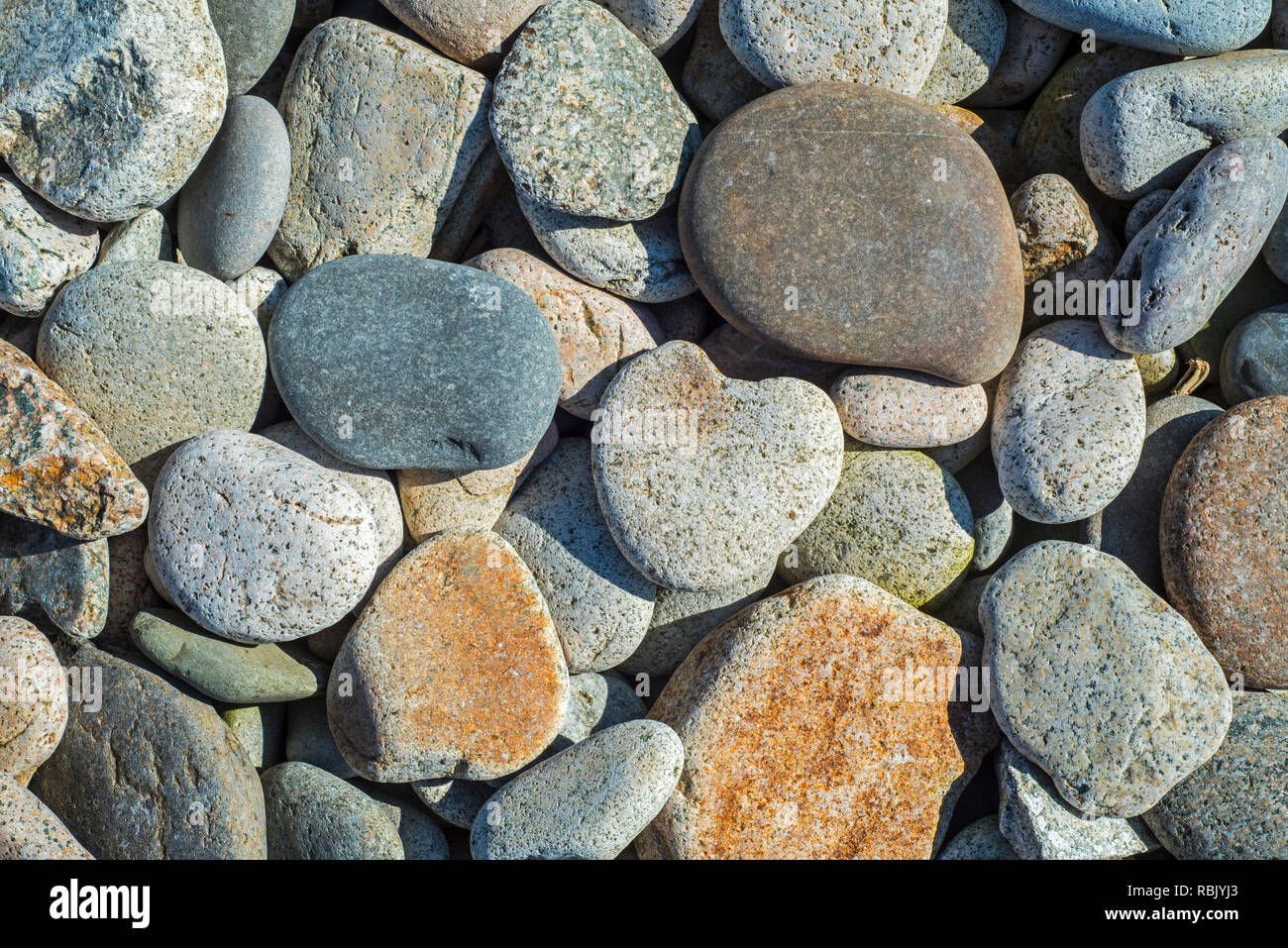 Ciottoli su una spiaggia di ciottoli / spiaggia rocciosa / Pebble Beach in Normandia, Francia Foto Stock