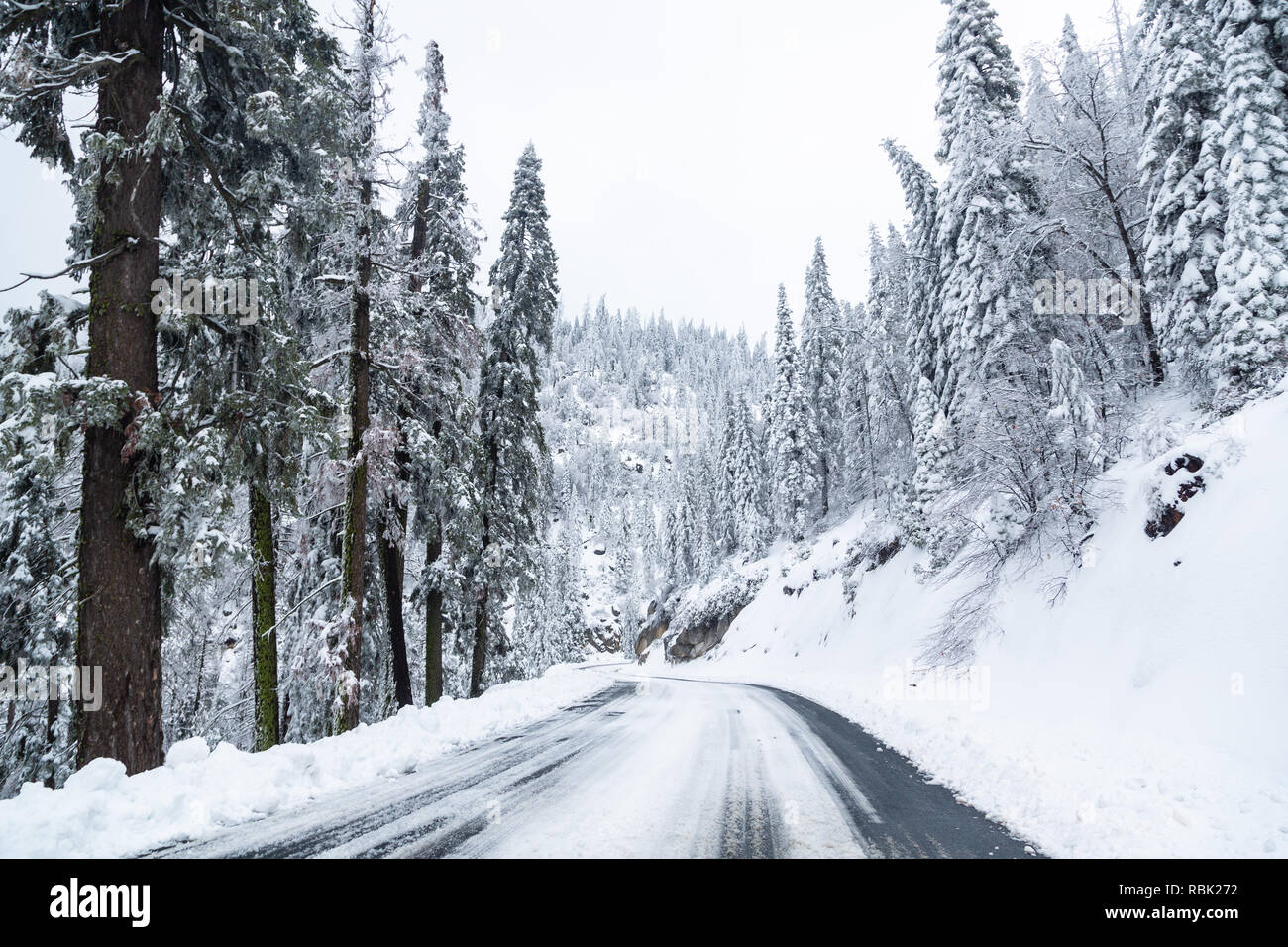 Neve e ghiaccio condizioni stradali sulla SR 190 dopo una tempesta di neve in Sequoia National Monument, California Foto Stock