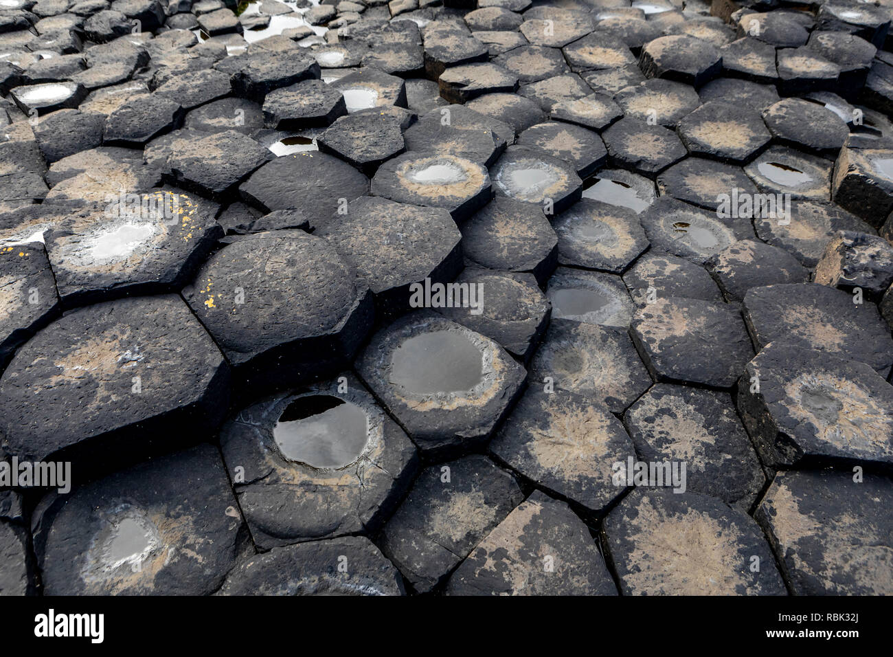 Giant's Causeway, il risultato di una antica eruzione folcano ed elencato come Sito del Patrimonio Mondiale, in Irlanda del Nord. Foto Stock