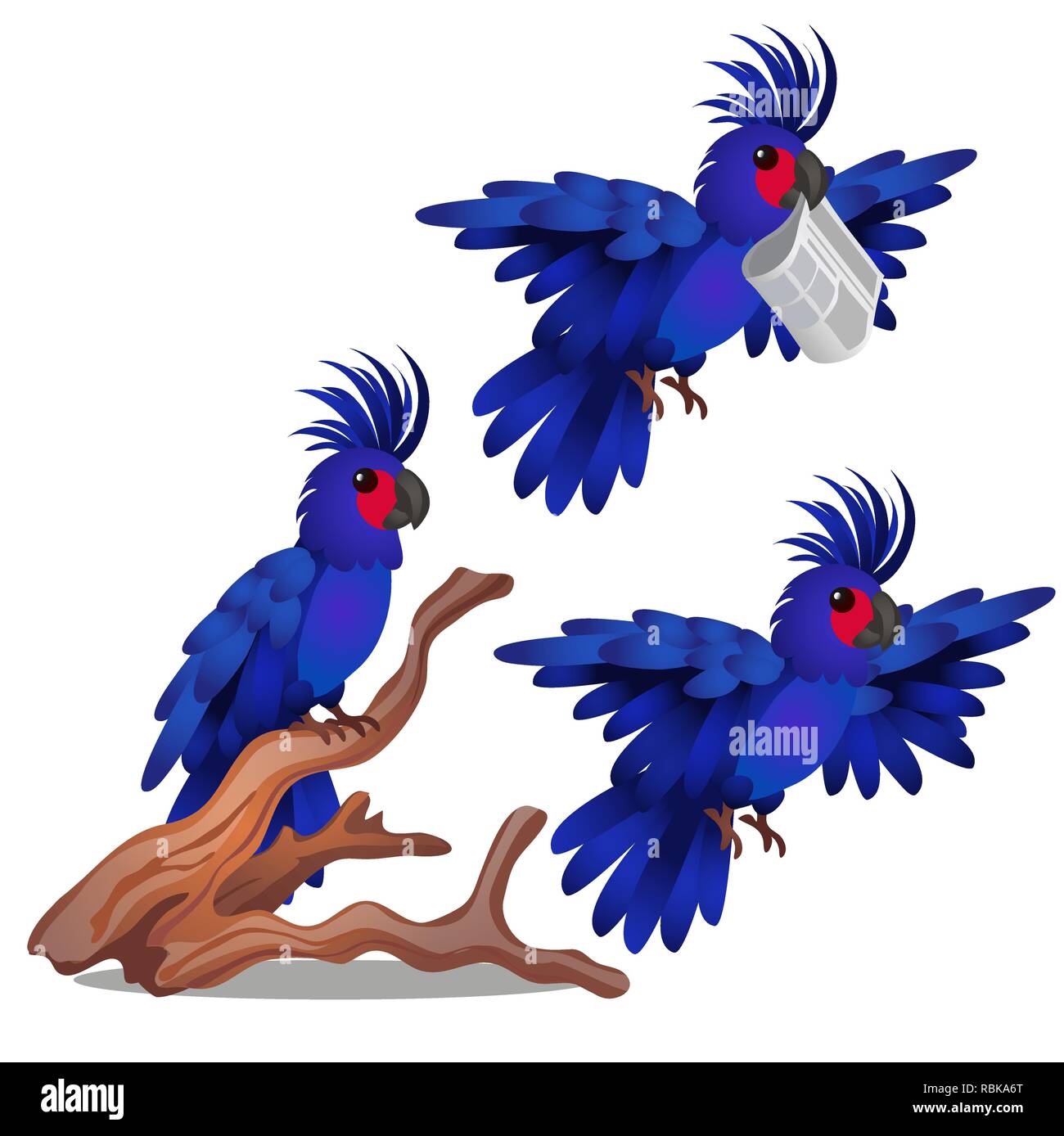 Blue Parrot è legata al peso isolati su sfondo bianco. Vector cartoon close-up illustrazione. Illustrazione Vettoriale