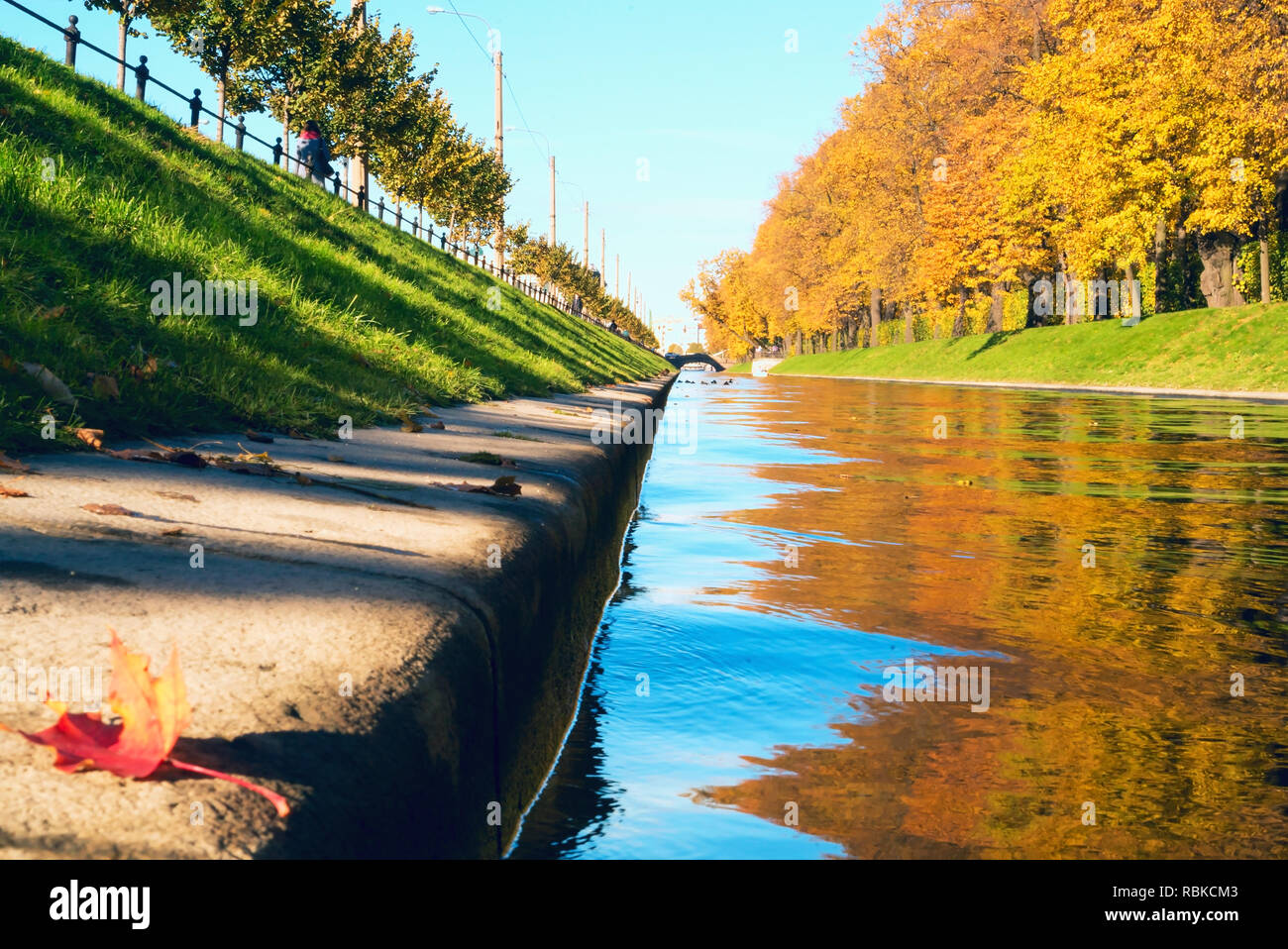 In autunno il paesaggio urbano . Swan's groove. Giardino estivo. San Pietroburgo Foto Stock