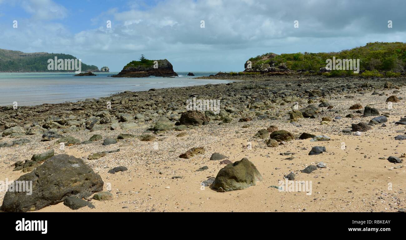 Isola di Cuneo e orchidee rock, escursioni attraverso Cape Hillsborough National Park, Queensland, Australia Foto Stock