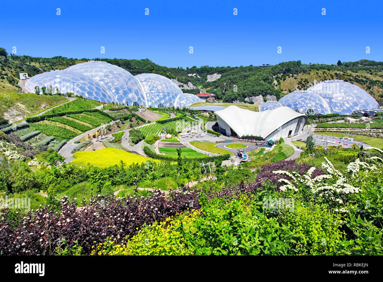 Eden Project, Cornwall Foto Stock