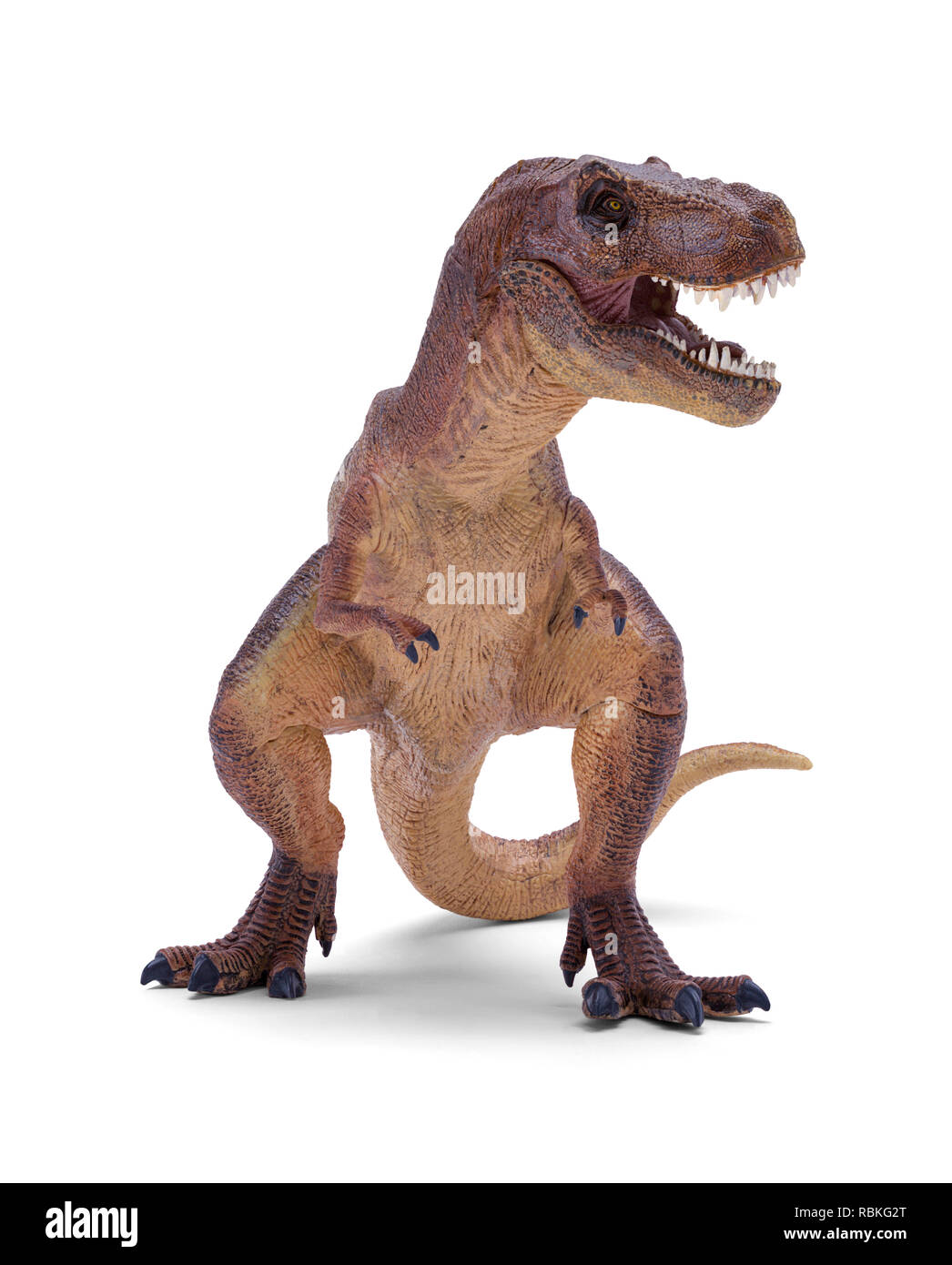 Tyrannosaurus Rex dinosauro con denti affilati isolati su sfondo bianco. Foto Stock
