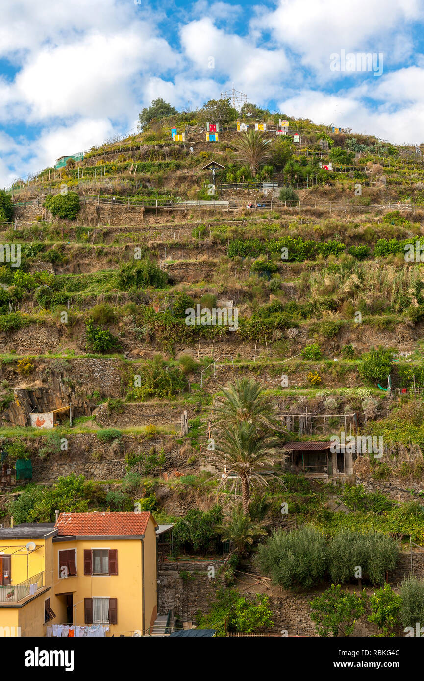 Tiered Gardens sul lato di una collina ripida in Manarolo, Italia Foto Stock