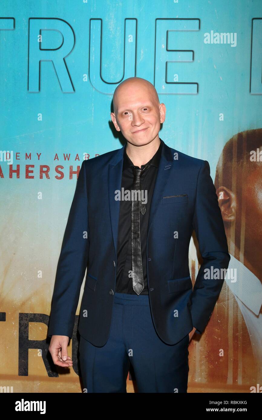 Anthony Carrigan presso gli arrivi per vero detective stagione tre Premiere, DGA New York Theatre, Los Angeles, CA 10 gennaio 2019. Foto di: Priscilla concedere/Everett Collection Foto Stock