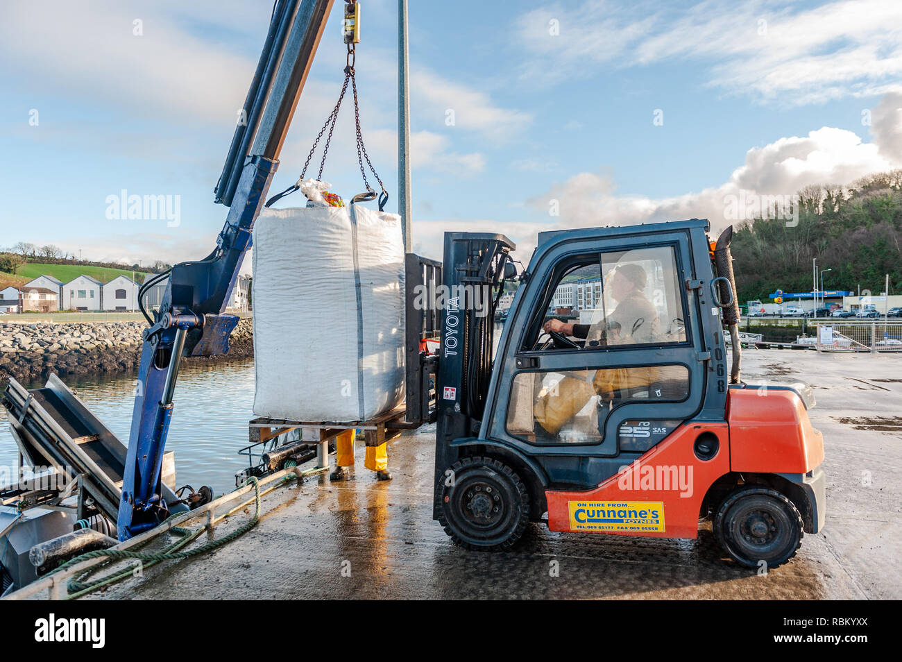 Bantry, West Cork, Irlanda. Xi gen, 2019. I pescatori sbarcare le loro catture di cozze su Bantry quay su un unseasonably bella giornata invernale e, le cozze sono vincolati per la Francia. Il giorno continuerà ad essere soleggiato ma con intervalli di tempo nuvoloso amid alti di 8 a 11° Celsius. Credito: Andy Gibson/Alamy Live News. Foto Stock