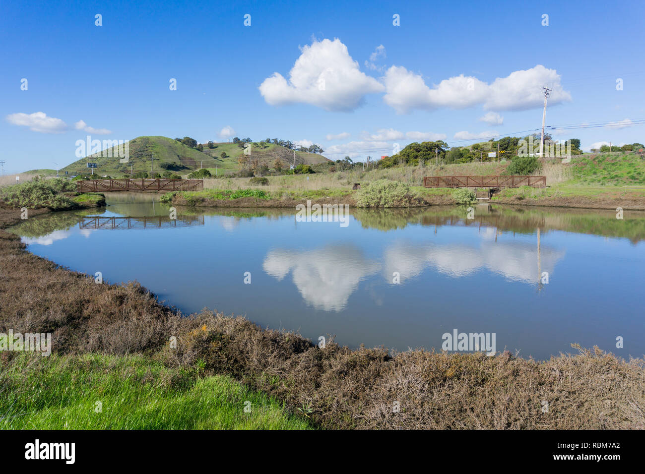 Stagno in Don Edwards Wildlife Refuge, vista verso Coyote Hills Regional Park, Fremont, San Francisco Bay Area, California Foto Stock