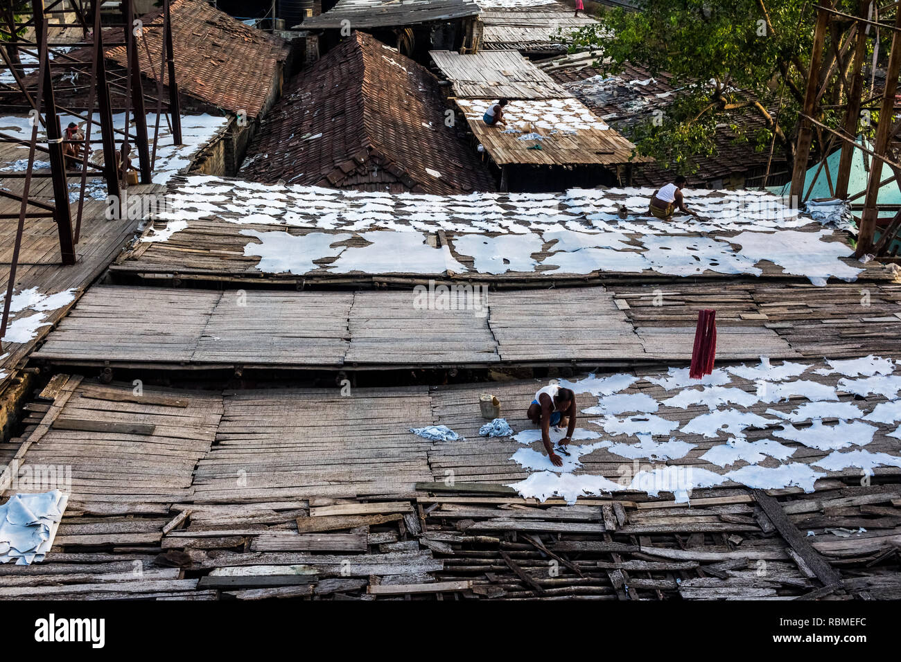 Gli uomini di asciugatura pezzi di cuoio sul tetto, Calcutta, West Bengal, India, Asia Foto Stock