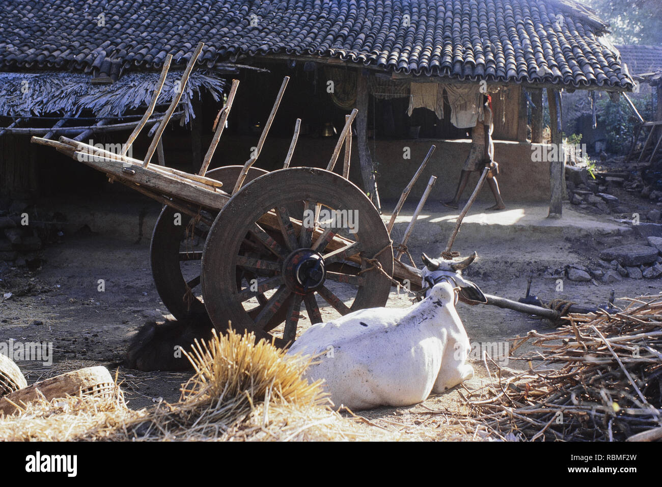 Ox seduta vicino ox carrello nella parte anteriore della casa, India, Asia Foto Stock