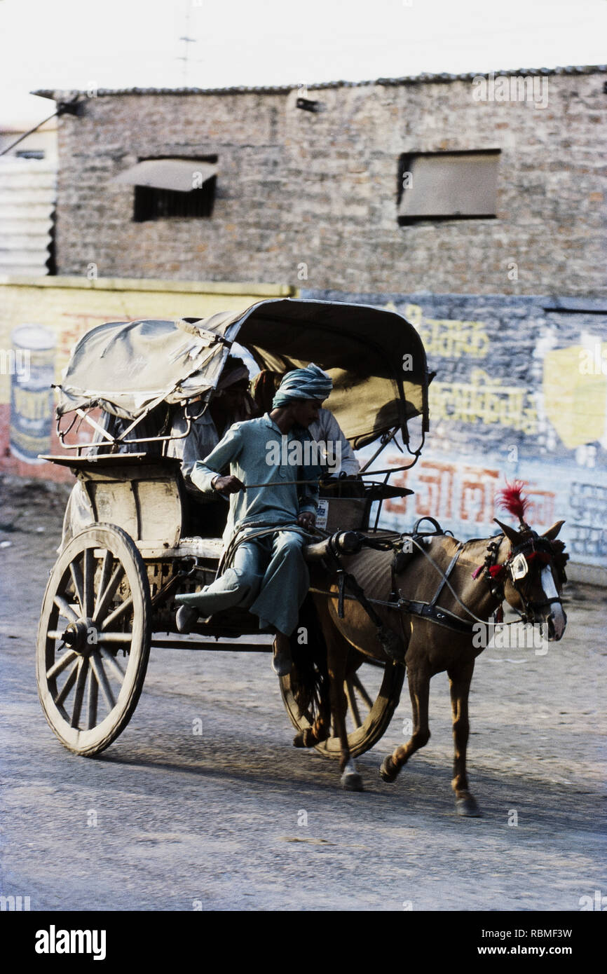 Uomo a cavallo disegnato sulla strada, Bharatpur Rajasthan, India, Asia Foto Stock