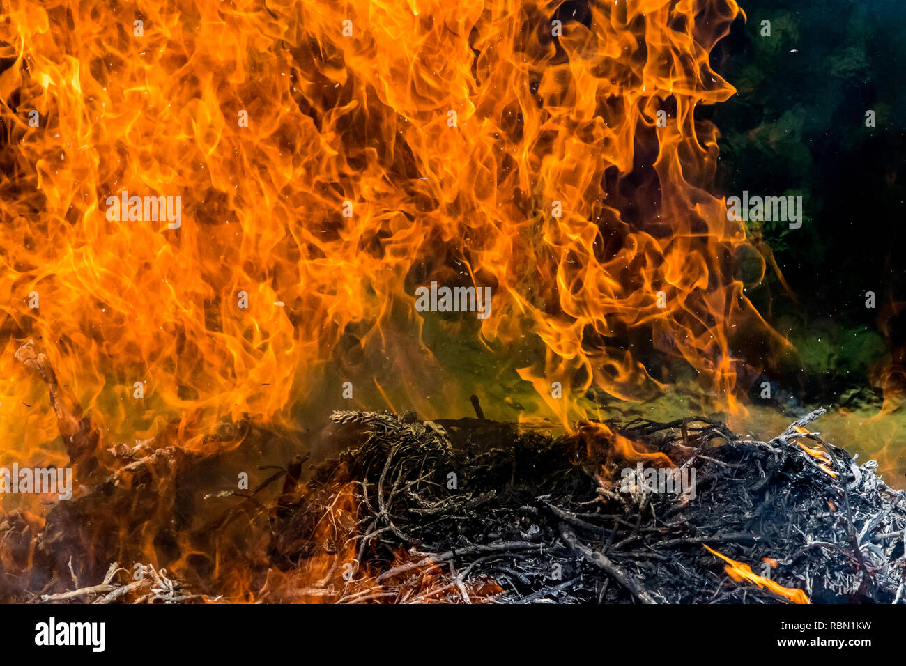 Sullo sfondo di grandi fiamme e fuoco - forza elementare nella foresta Foto Stock