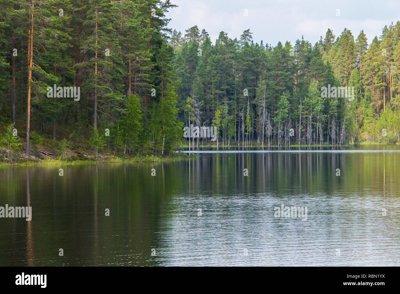 Vista panoramica sul lago di mit alberi in colori luminosi Foto Stock