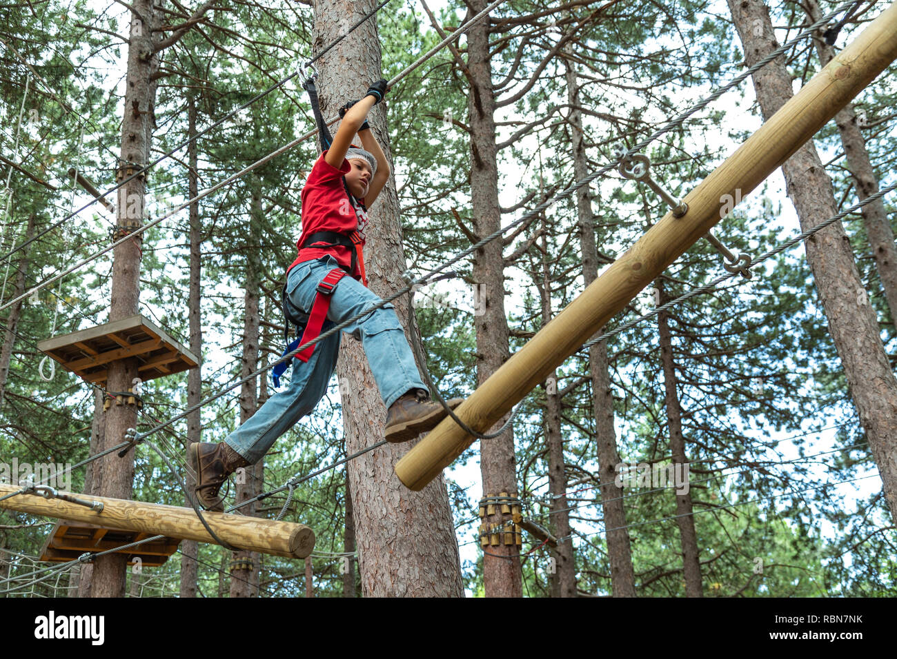 Ragazzo con cablaggio di sicurezza arrampicate nel parco avventura in pineta. Guardiagrele, .Abruzzo, Italia Foto Stock